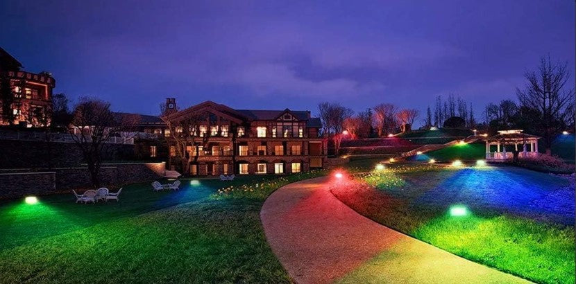 Aesthetic flood lighting new arrivals