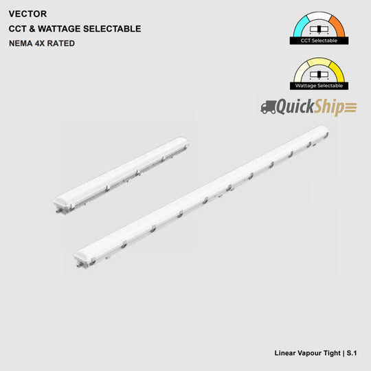 Vecteur